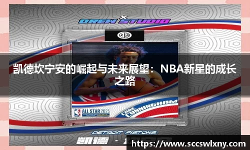 星亿平台